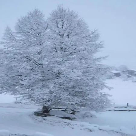 In Near Slopes 別荘 ニーダーンジル