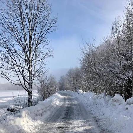 別荘 In Near Slopes ニーダーンジル