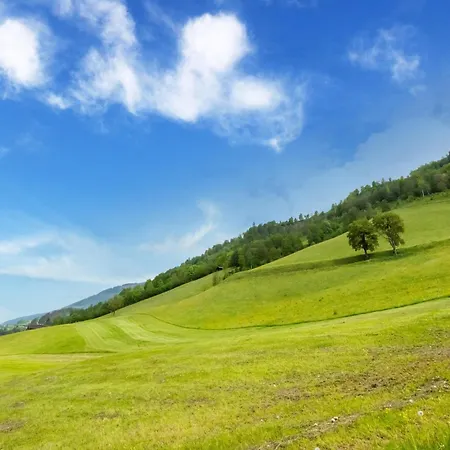 In Near Slopes * Niedernsill