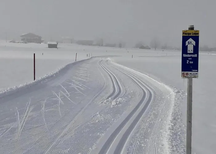 Prázdninový dům In Near Slopes Niedernsill