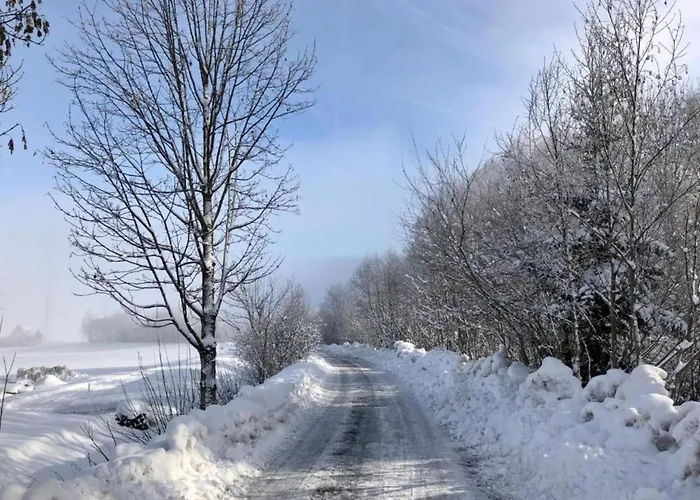 Prázdninový dům In Near Slopes Niedernsill